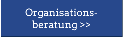 Organisations-  beratung >>